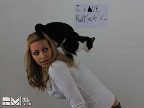 rmtv-sign-cat2