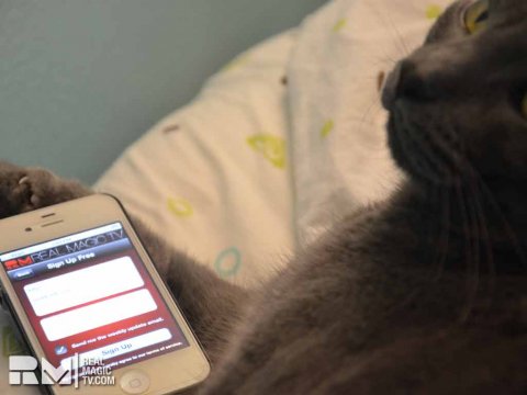 cat-with-rmtv-iphone-app