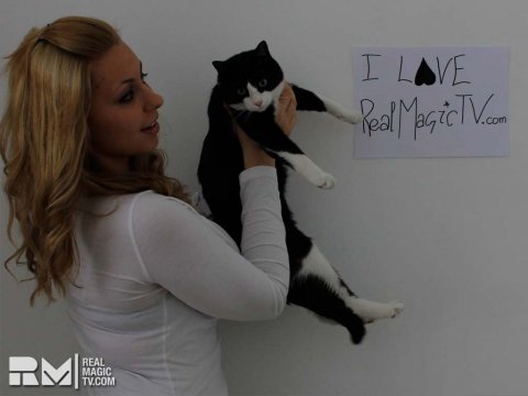 rmtv-sign-cat1